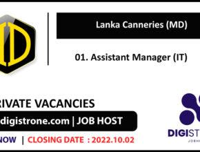 Assistant Manager (IT) Job