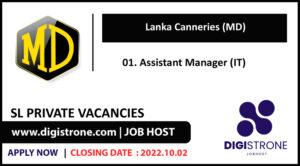 Assistant Manager (IT) Job