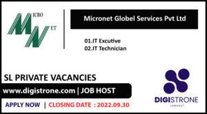 Micronet Global Services Job