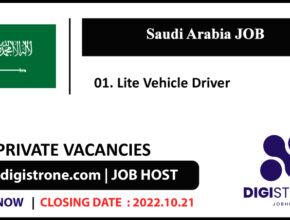 Lite Vehicle Driver Job