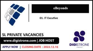 it executive job vacancy